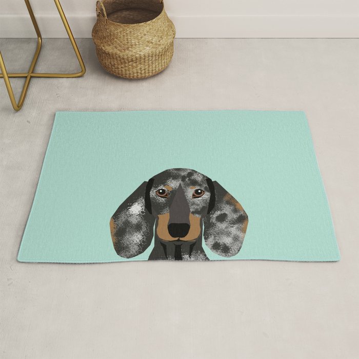 dachshund accessories