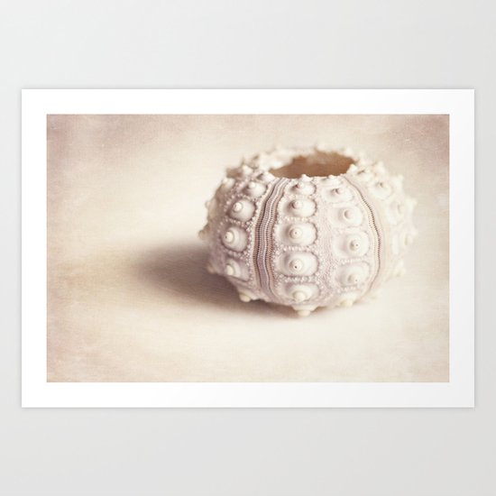 sea urchin Art Print