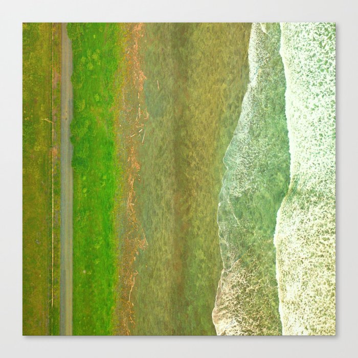 green velvet characteristics fabric finish Canvas Print