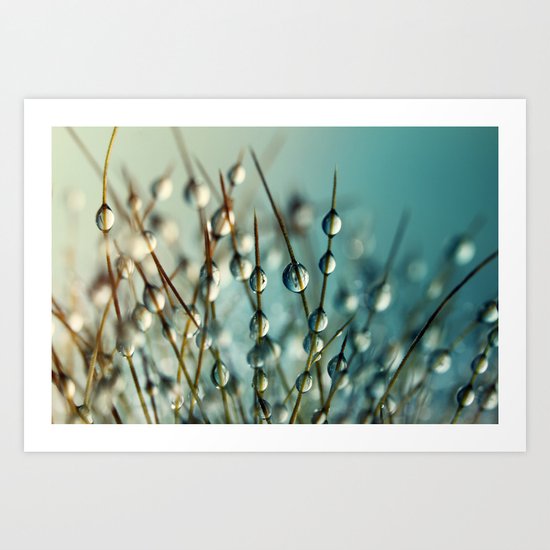 Cactus Craze II Art Print