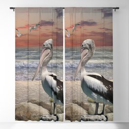Pelican lookout post Blackout Curtain