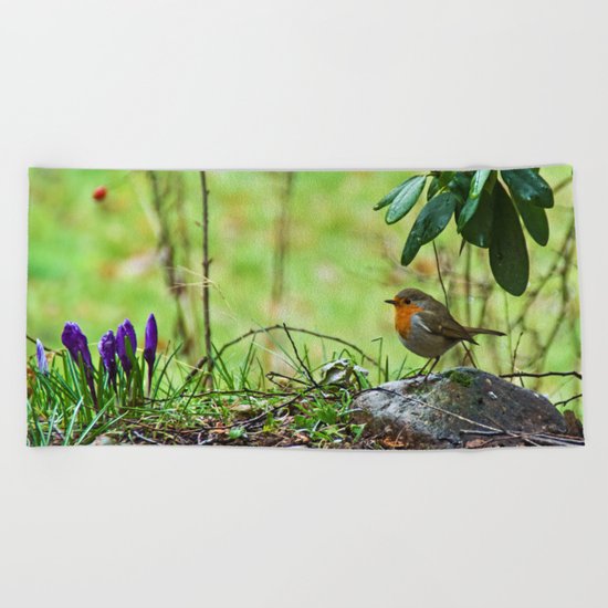 Robin in the spring Beach Towel