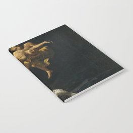 The witches' flight gothic horror surrealism portrait painting by Francisco Goya Notebook