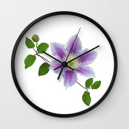 Purple clematis on a stem isolated on white background Wall Clock