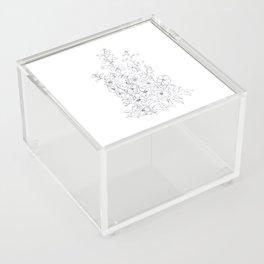 delphinium  larkspur flower drawing  Acrylic Box