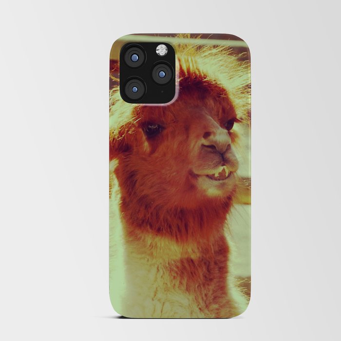 Disheveled Pretty Llama | Cute animals of the desert iPhone Card Case