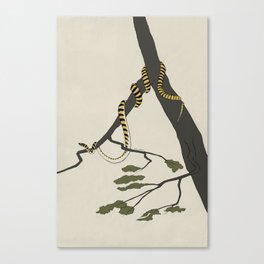 Lounging Golden Tree Snake Canvas Print