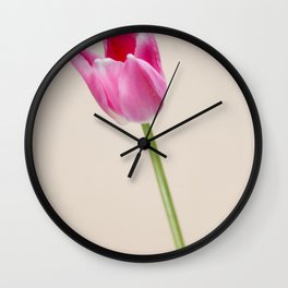 Pastel colored Dutch tulip photo Fine Art Print Wall Clock