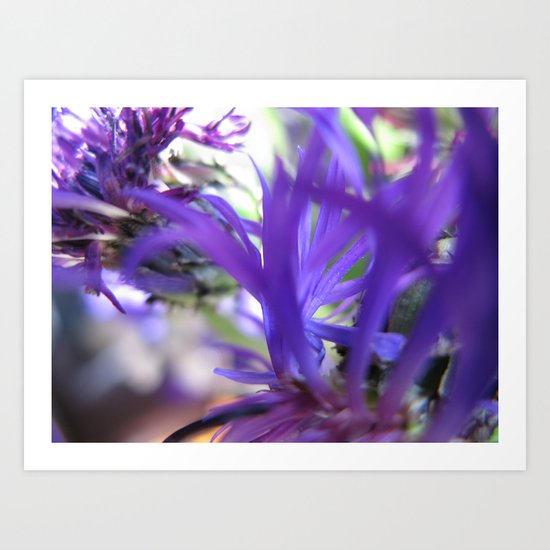 Purple Petals 75 Art Print