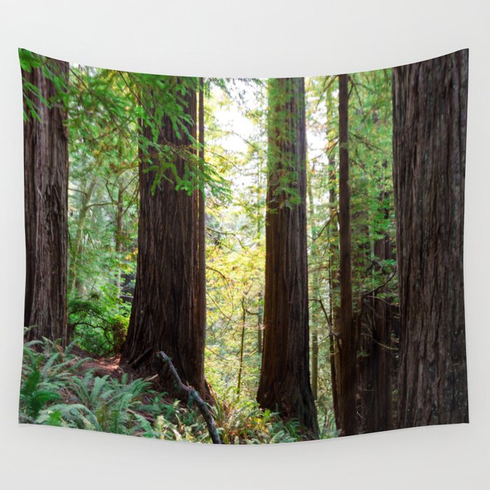 Redwoods Wall Tapestry