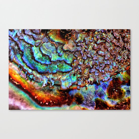 Vista Canvas Print