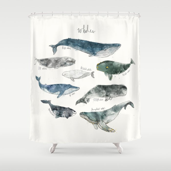 Whales Shower Curtain