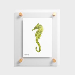 Sergio the Seahorse Floating Acrylic Print