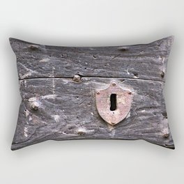 Old Weathered Wooden Door Wood Texture Rectangular Pillow