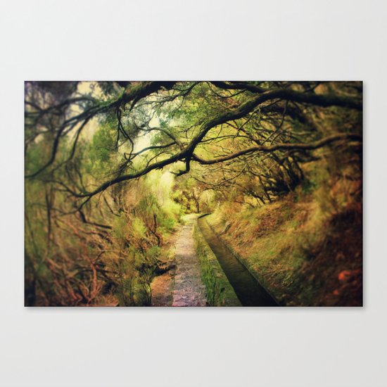 wonderLand Canvas Print