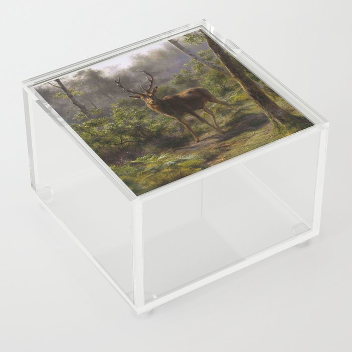 Rosa Bonheur, A stag, un cerf Acrylic Box