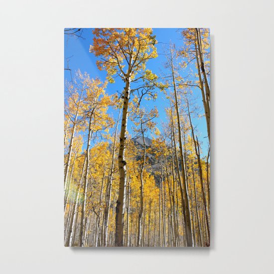 Enchiladas in the Trees 2 Metal Print