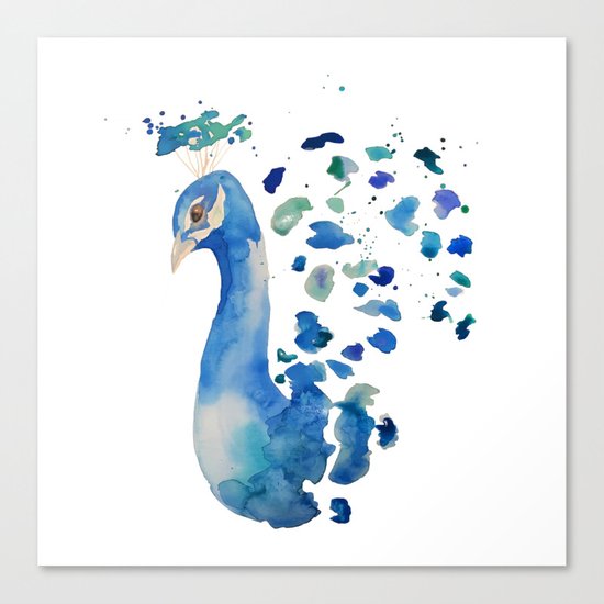 Peacock Canvas Print