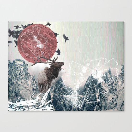 The Nature of Analysis Canvas Print