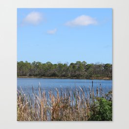 The lake  Canvas Print