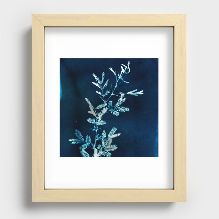 Blue gazes from the cat windows Recessed Framed Print