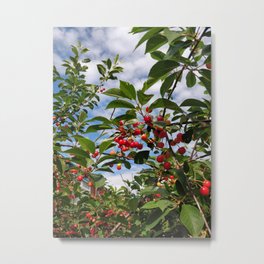 Fruit Tree In the Summer Metal Print | Garden, Summerportrait, Digital Manipulation, Berries, Mayarain, Tree, Color, Digital, Photo, Trees 