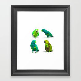 Adorable Parrot Bird Group Framed Art Print