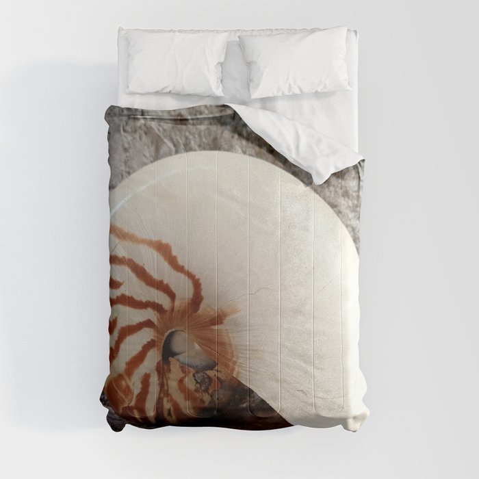 Seashell Series (No. 1) Comforter