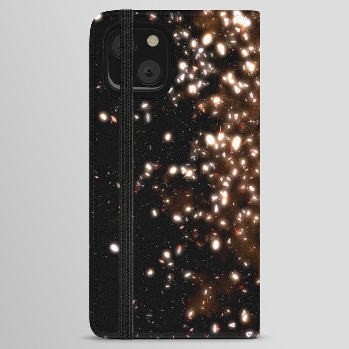 GOLD RAIN or DUST TO DUST iPhone Wallet Case