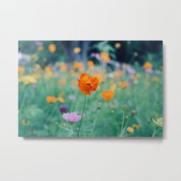 Wildflowers in Summer Metal Print | Color, Bright, Flowers, Wildflowers, Colorful, Nature, Blooming, Photo, Summer 
