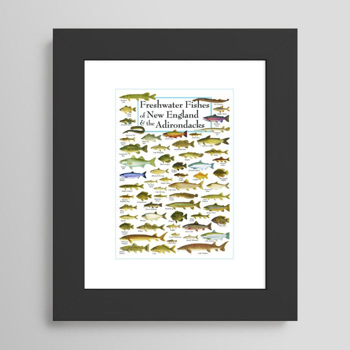 Framed Art Print