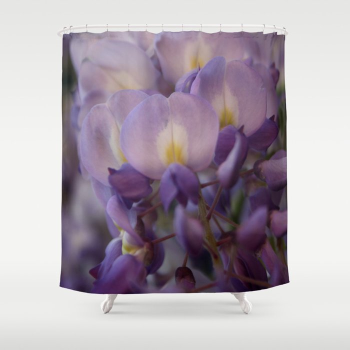 Wisteria Vine Flower Blooming Blossoms Close Up Shower Curtain