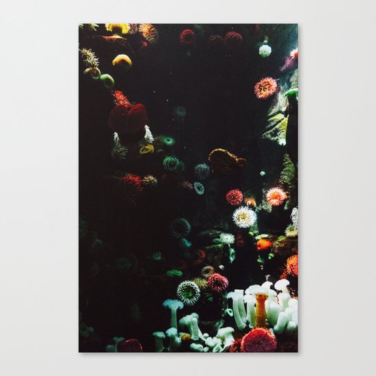 UNDERWATER ANEMONE Canvas Print
