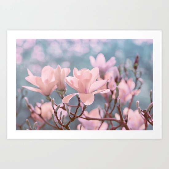 Magnolia 263 Art Print