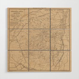 Vintage Map of The Adirondack Mountains (1874) Wood Wall Art