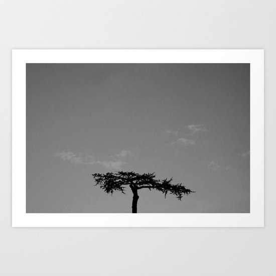 it seems like a bonsai Art Print