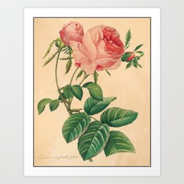 Japanese Floral Art Prints For Any Decor Style Society6