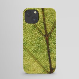 Leaves by Denise Dietrich iPhone Case