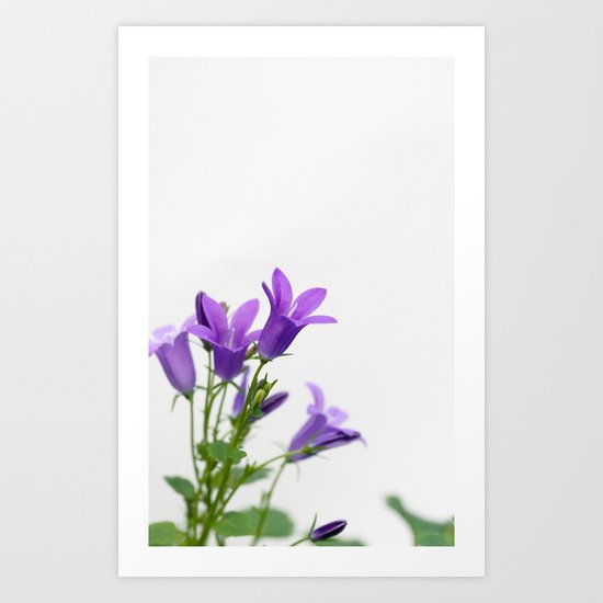 PURPLE FLOWERS - Bellflowers #1 #decor #art #society6 Art Print