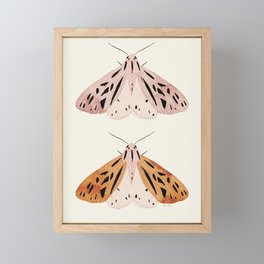 Butterflies Framed Mini Art Print
