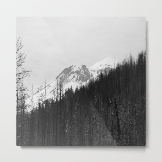 Trees Die Metal Print