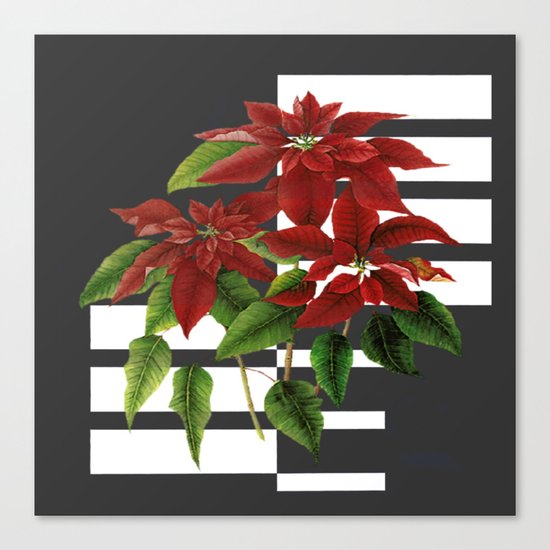 vintage poinsettia on modern background Canvas Print