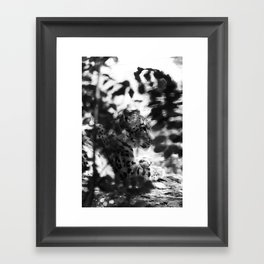 Snow leopard through the trees Framed Art Print