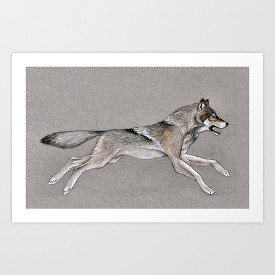 Grey Wolf Running Art Print