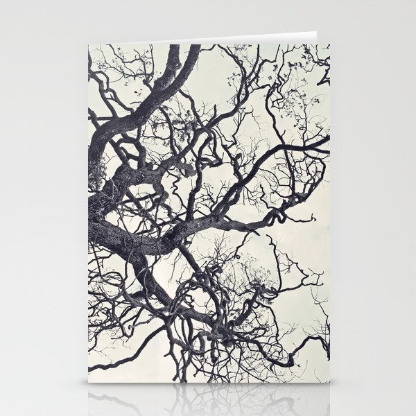 cold fall Stationery Cards