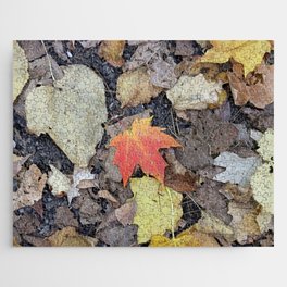 Dark Orange Maple Leaf Jigsaw Puzzle