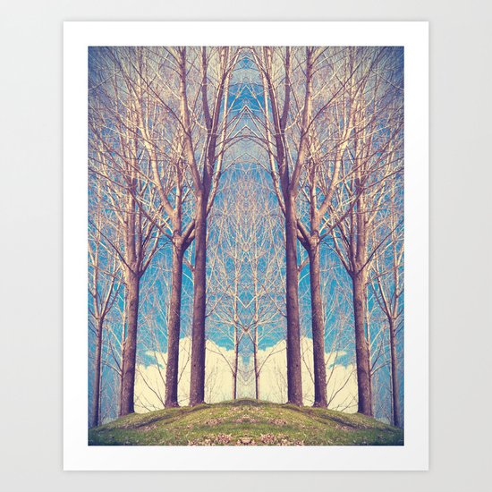 The nature of symmetry Art Print