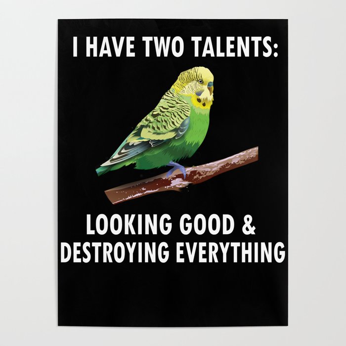 Budgie Owner Budgie Lover Parakeet Bird Budgerigar Poster by madebyJSRG