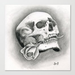 Skull & Rose Canvas Print
