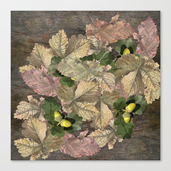 Acorns in Autumn Canvas Print
